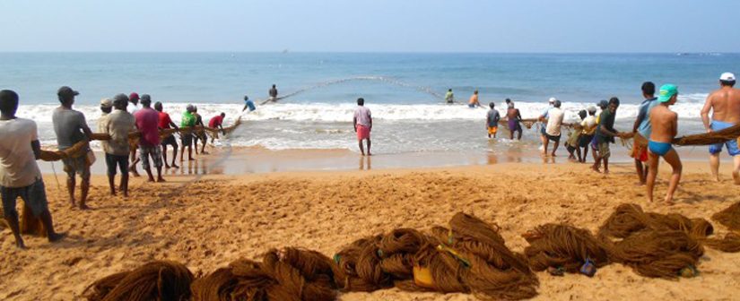 Tourists help haul in the Fishing net sri lanka holiday guru