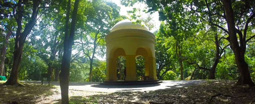 The Royal Botanical Gardens, Kandy