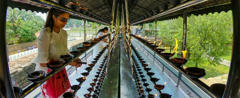 Temple of the Sacred Tooth Relic Lighting oil lamps