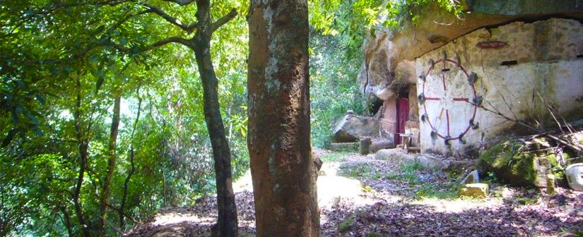 Udawatta Kele Sanctuary Kandy Sri Lanka