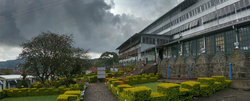 Dambatenne Tea Factory Haputale Sri Lanka