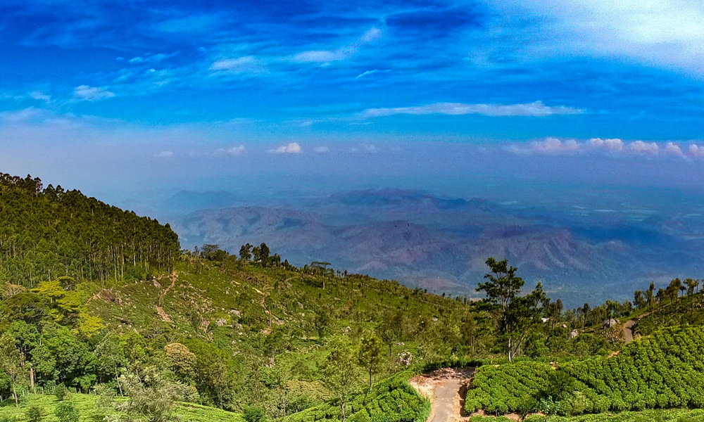 Trekking around Matale - Riverstone