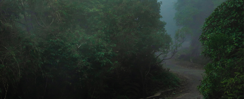 The paved road leading to Riverstone Gap, Matale